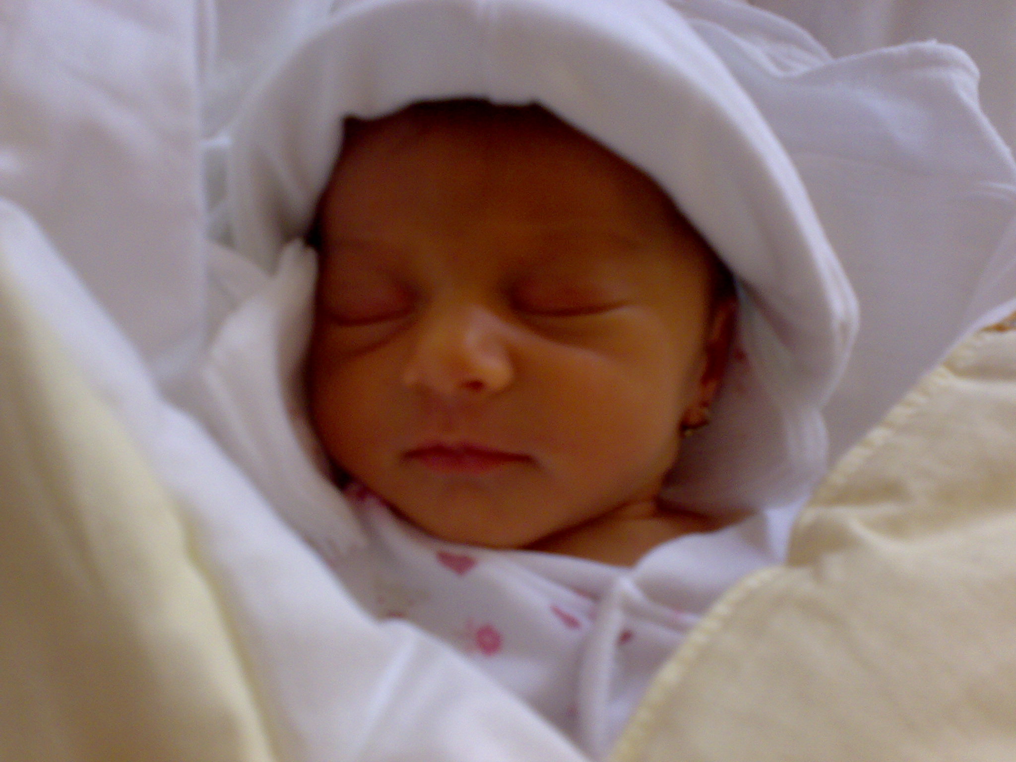 25022008103.jpg