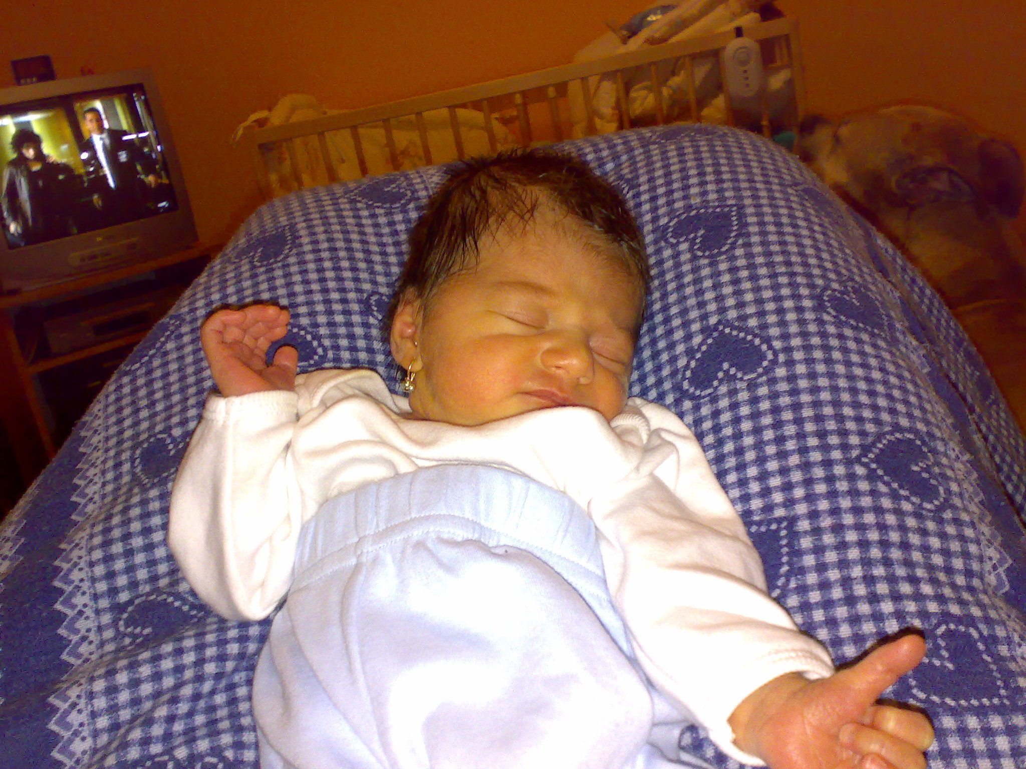 28022008107.jpg